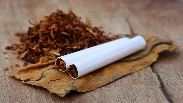 Czy uprawa tytoniu jest legalna? Kompleksowe spojrzenie na polskie przepisy